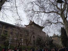 -武汉大学-樱园