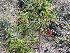 -东天目山风景区