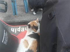 -铁诚烤肉