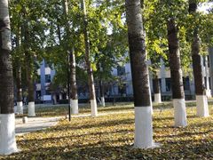 -山东大学(洪家楼校区)