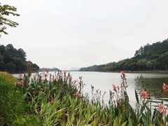 -南国桃园旅游度假区