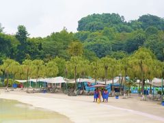 -重庆海昌加勒比海水世界