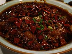 -雲蜀龙阁·金牌水煮鱼(方庄店)