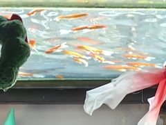-16毫米咖啡&酒吧(南锣鼓巷店)