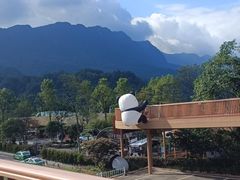 -碧峰峡风景区