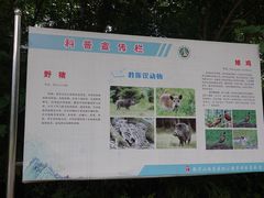 -敬亭山风景名胜区