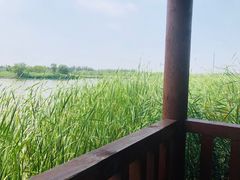 -西青郊野公园