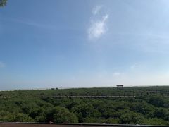 -北海金海湾红树林生态旅游区