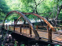 -吉林市朱雀山国家森林公园