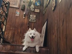 -1013咖啡书吧(兰庭国际店)