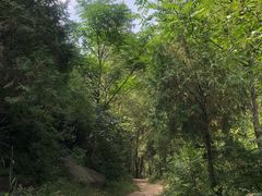 -碓臼峪自然风景区