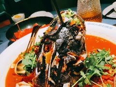 -坛宗剁椒鱼头(河西王府井店)