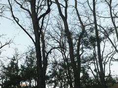 -元大都城垣遗址公园