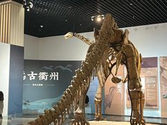 -衢州市博物馆