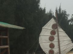 -北海金海湾红树林生态旅游区