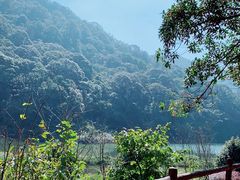 -广州市石门国家森林公园