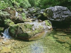 -终南山国家森林公园