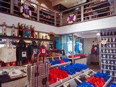 -猫咪博物馆(顶澳仔猫街店)