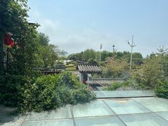 -慢丽江·云南野生菌土鸡锅(付家庄店)