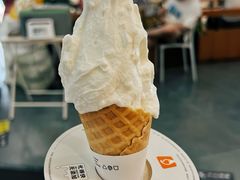 五常大米甜筒-野人先生Gelato(上海长宁龙之梦店)