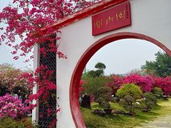 -长鹿旅游休博园