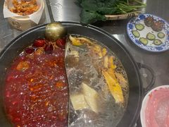 -朱光玉火锅馆(正弘城店)