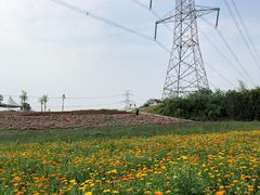 -紫颐香薰山谷景区