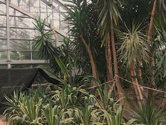 -南山植物园
