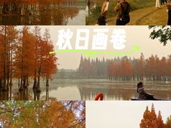 -白鹭湾湿地公园