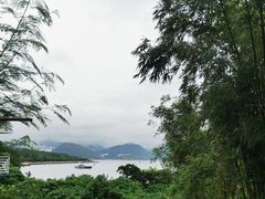 -南丫岛