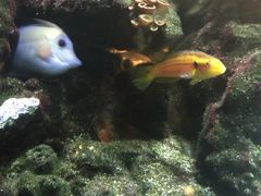 -无招牌海鲜餐厅(怡丰城店)