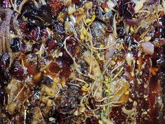 -唐门江湖菜(龙石路店)