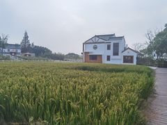 -MUSEO COFFEE咖啡博物馆