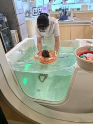 -广州安和泰医学月子会所