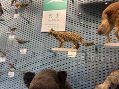 -浙江自然博物院(杭州馆)