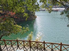 -广州市流溪河国家森林公园