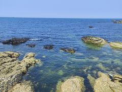 -养马岛旅游度假区