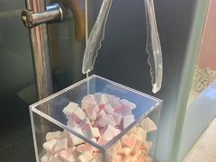 -狐狸和向日葵(北京路店)