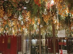-湖锦酒楼·31年地道湖北菜(黄鹤楼店)