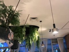 -三个椰子·现砍椰子鸡(金源CBD店)