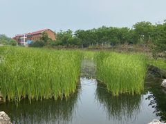 -张家湾公园