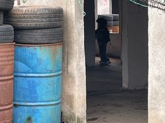 -东湖小天池真人CS彩弹野战基地