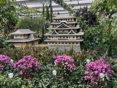 -南宫五洲植物乐园