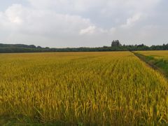 -嘉北郊野公园