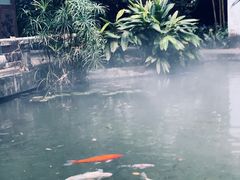 -广州兰圃