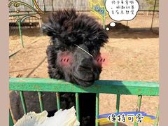 -秦皇岛野生动物园