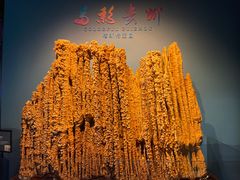 -贵州省地质博物馆