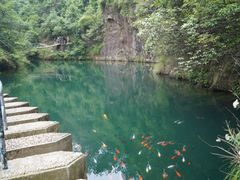 -大奇山国家森林公园