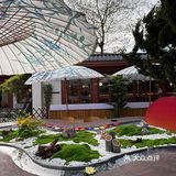 充满无限魅力的都市