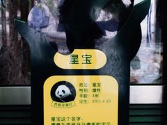 -黔灵山公园